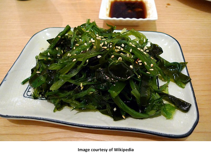 Seaweed as an Additive and Whole Food American Council on Science and Health