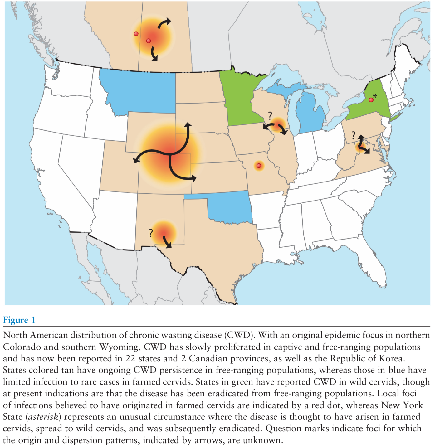 CWD: Is 'Mad Cow Disease' in Deer a Threat to Humans? | American Council on  Science and Health