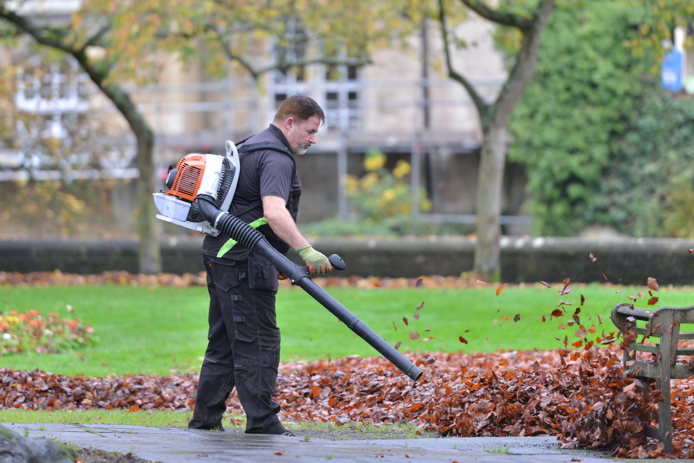 Leaf Blowers & Threats to Hearing Signal Spring's Return.