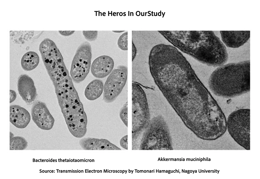 A close-up of a microscope</p>
<p>AI-generated content may be incorrect.