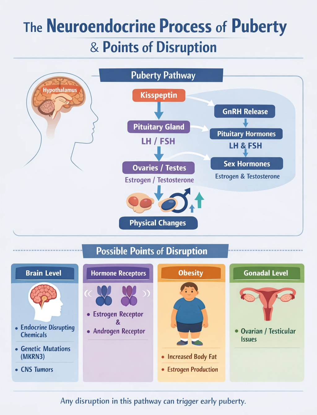 A poster with a diagram of the body</p>
<p>AI-generated content may be incorrect.