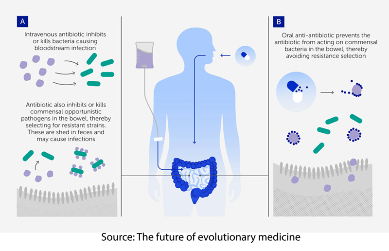 A diagram of a person's body</p>
<p>AI-generated content may be incorrect.