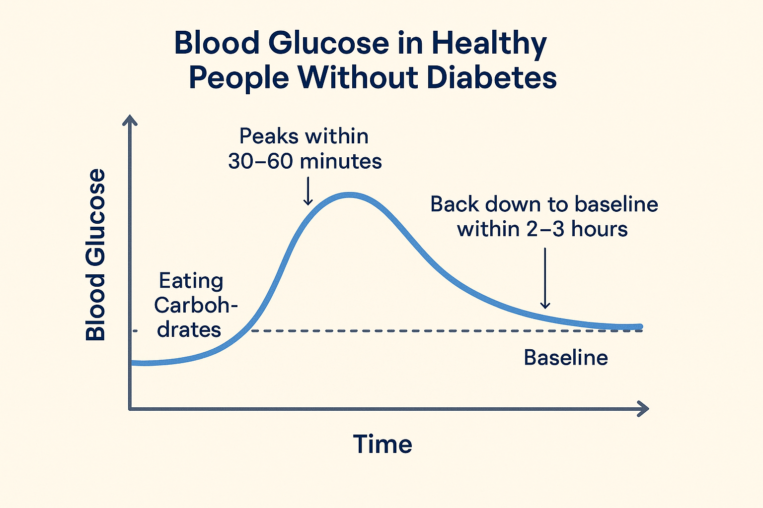 A diagram of blood glucose level</p>
<p>AI-generated content may be incorrect.