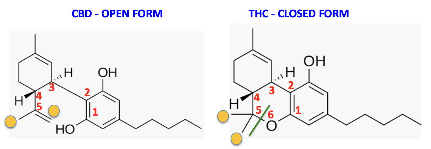 THC and CBD: Same formula, very different drugs