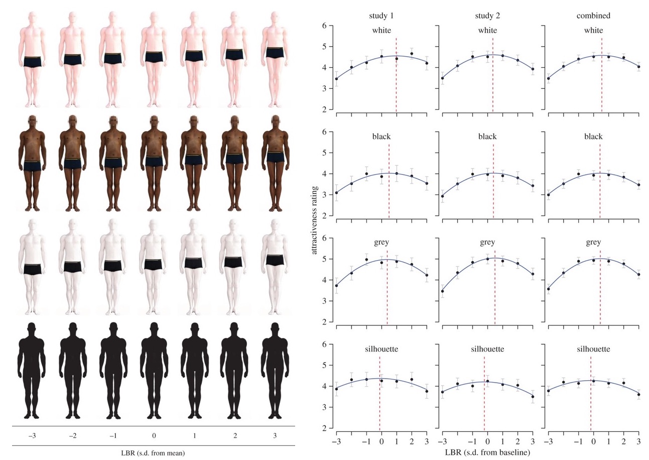 Size Chart Legs