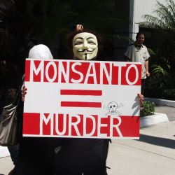 3 Reasons The Anti-GMO Movement Is On Its Way Out
