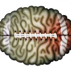 Identifying Brain Trauma