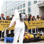  A simulated bee die-off. Hazmat suits are a better call to action for fundraising than blaming the incompetence of amateur beekeepers.