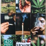 Podcast: Marijuana legalization—fool's errand or good policy? Two doctors weigh in