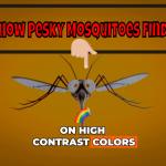 The Real Reason You're a Mosquito Magnet (Science Just Figured It Out)