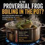 'Slow erosion of human potential.' The trouble with today's high-potency marijuana