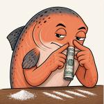 Coked-Up Salmon Go Speeding Upstream