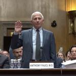 Fauci Senate hearing: The fifth, the feud, and the facts