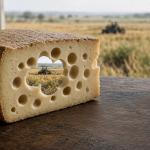 A weedkiller study with more holes than Swiss cheese