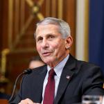 The Fauci diaries: COVID questions that deserve answers