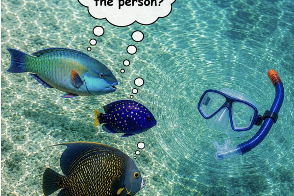 Seasick? Airsick? There's a new drug for that. Finally. 