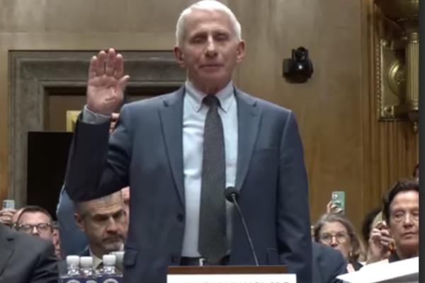 Fauci Senate hearing: The fifth, the feud, and the facts
