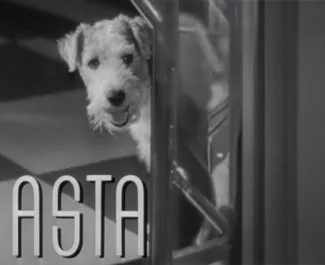 Asta in "Another Thin Man" movie trailer, 1939