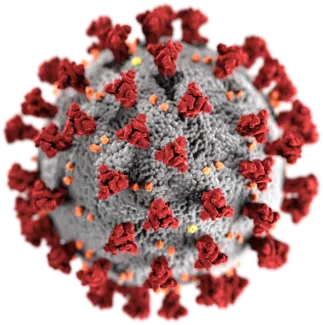 SARS-CoV-2 coronavirus Source: CDC