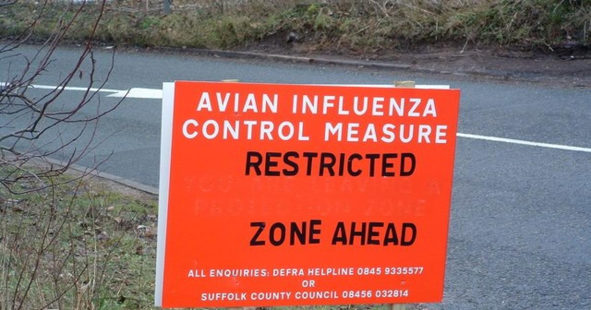 USDA's Dereliction in Containing Bird Flu Could Cause Calamitous ...