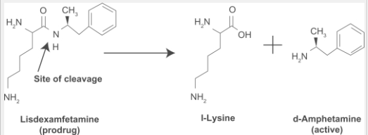 Vyvanse Duration Chart